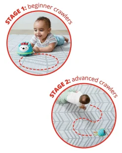 Skip Hop Explore & More Hello Hedgehog Crawl Toy