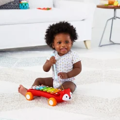 Skip Hop Explore & More Xylophone
