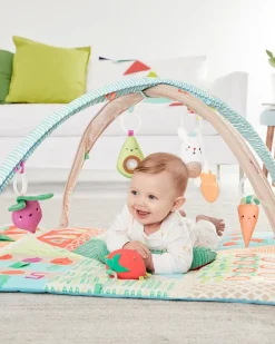 Skip Hop Farmstand Grow & Play Activity Gym
