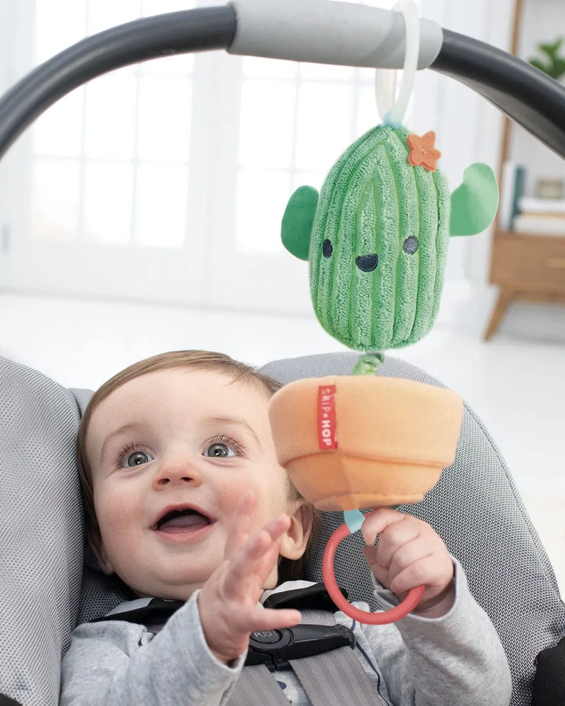 Skip Hop Farmstand Jitter Stroller Toy - Cactus