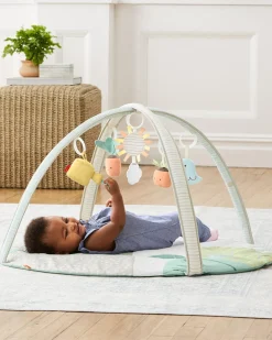 Skip Hop Garden Oasis Activity Gym