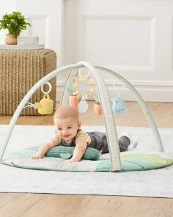 Skip Hop Garden Oasis Activity Gym