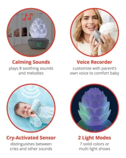 Skip Hop Terra Cry-Activated Soother