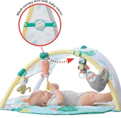 Skip Hop Tropical Paradise Activity Gym & Baby Soother