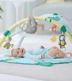 Skip Hop Tropical Paradise Activity Gym & Baby Soother