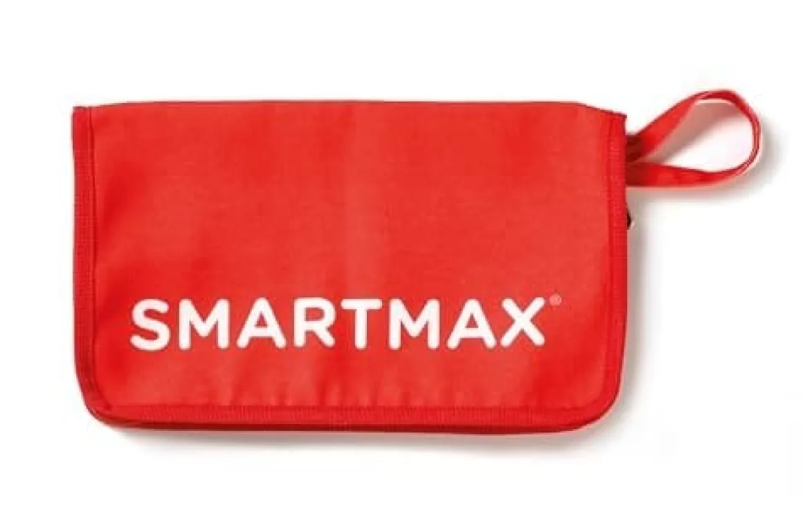 Smart Toys and Games SmartMax My First Animals Around the World