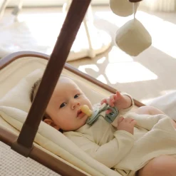 Snuggle Me Infant Rocker