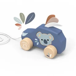 Speedy Monkey Pull Along Car
