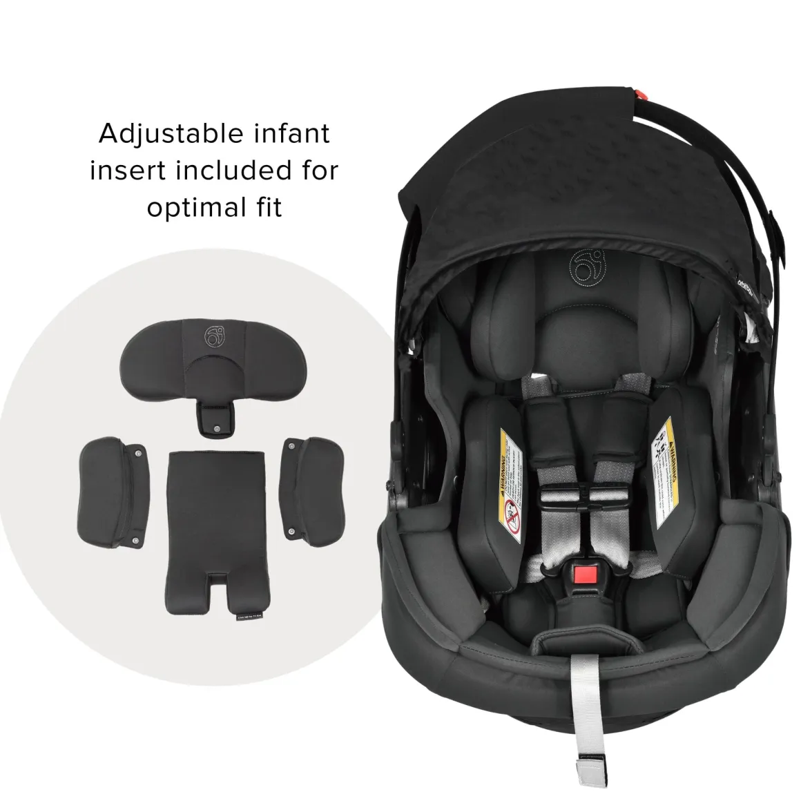Stroll, Lounge, & Ride Travel System