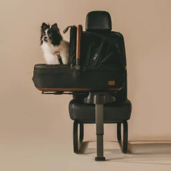 Tavo Pets Maeve Pet Car Seat, Medium Rigid - Onyx
