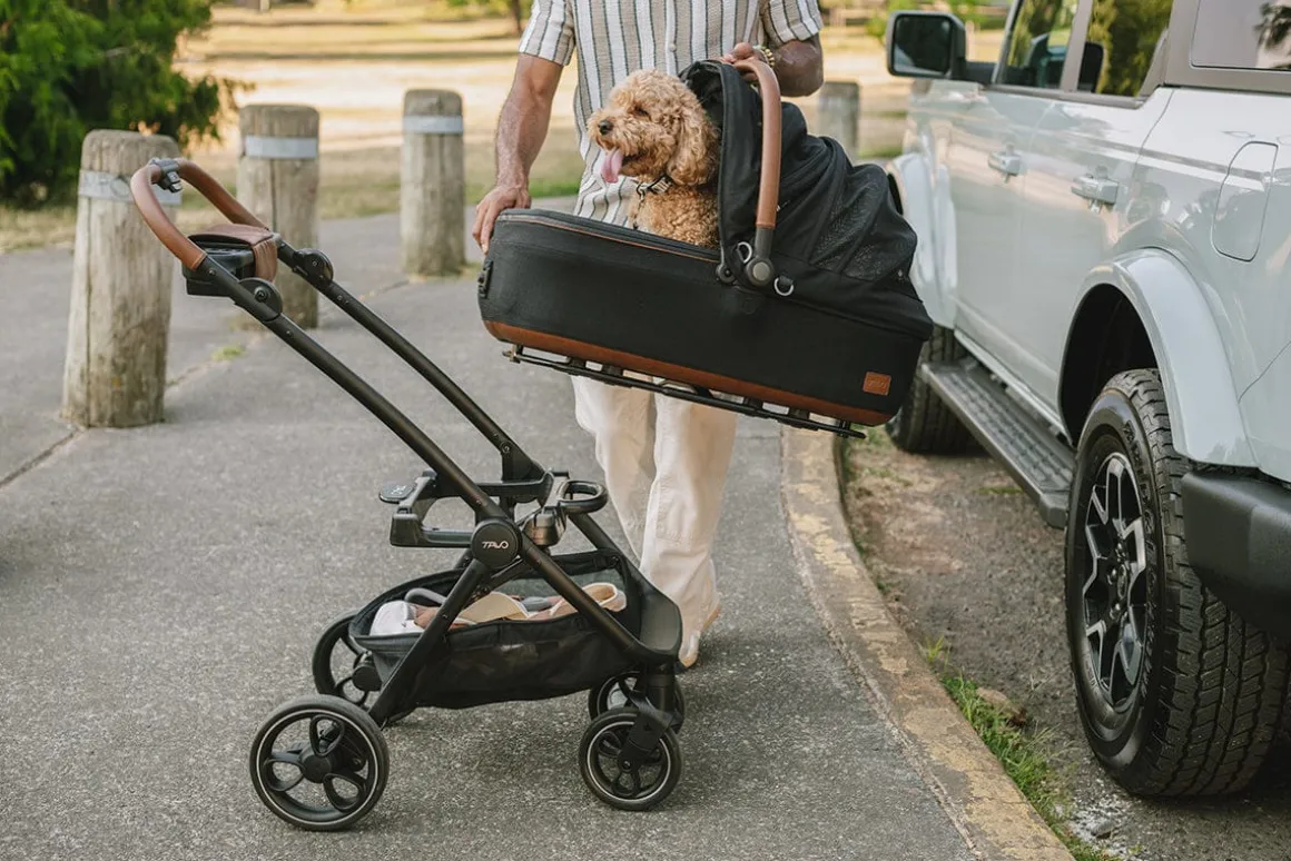 Tavo Pets Maeve + Roscoe 3-IN-1 Pet Protection System, Medium Rigid - Brindle