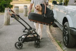 Tavo Pets Maeve + Roscoe 3-IN-1 Pet Protection System, Medium Rigid - Fawn