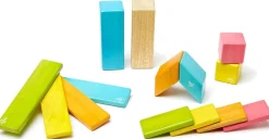 Tegu 14 Piece Magnetic Blocks Set - Tegu Tints