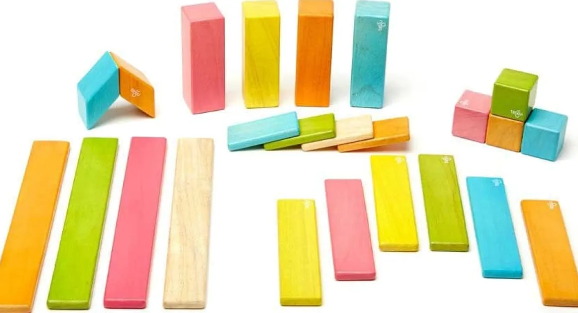 Tegu 24 Piece Magnetic Blocks Set - Tegu Tints