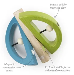 Tegu Swivel Bug - Green & Teal