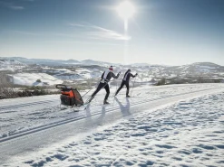 Thule Chariot Cross Country Skiing Kit