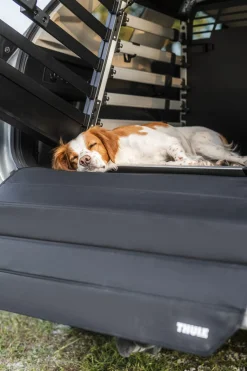 Thule Dog Crate Bumper Protector - Wide