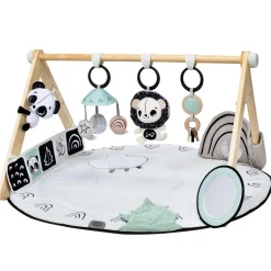 Tiny Love Luxe Developmental Gymini - Black & White Decor Collection