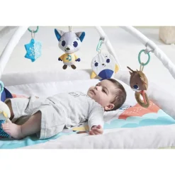 Tiny Love Polar Wonders Plush Gymini Activity Mat