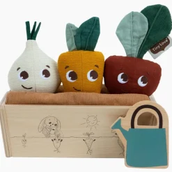 Tiny Love Veggie Garden Toy - Garden of Adventure Collection