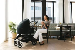 UPPAbaby Vista, Cruz, Ridge Bassinet V3 - James (Black / Carbon Frame)