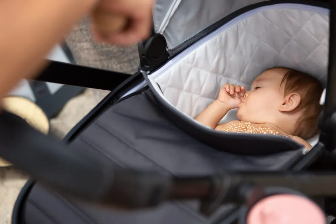Veer Bassinet - Black Onyx
