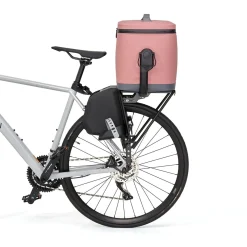 Veer Day Cooler, 18 L - Brown Mica