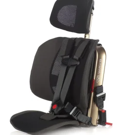 WAYB Pico Forward Facing Travel Car Seat - Earth