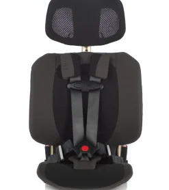 WAYB Pico Forward Facing Travel Car Seat - Earth