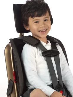 WAYB Pico Forward Facing Travel Car Seat - Earth