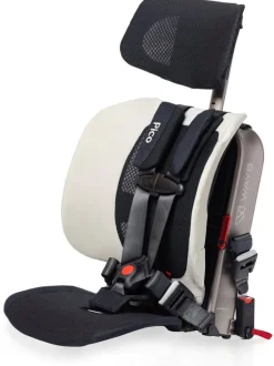 WAYB Pico Forward Facing Travel Car Seat - Stardust