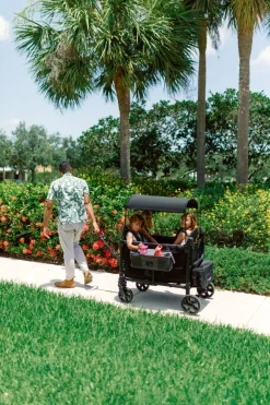 WonderFold Optional Pull Handle - W & L Series Wagons